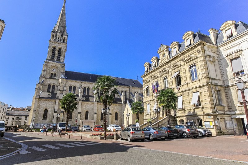 Perspective